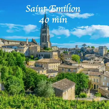 Studio Terrasse Wifi Parking A 50M Du Tram B Pessac Exterior photo